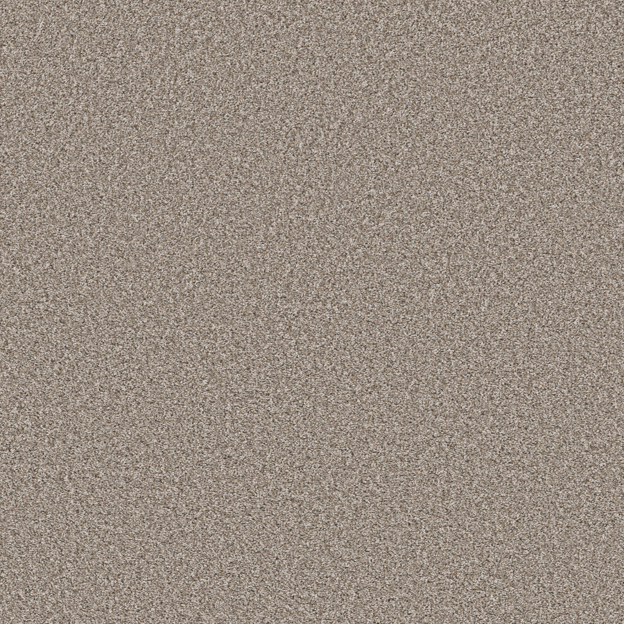 Shaw Floors - Carpet - Pet Perfect Collection - Remixed Classic - 12' - Pebble