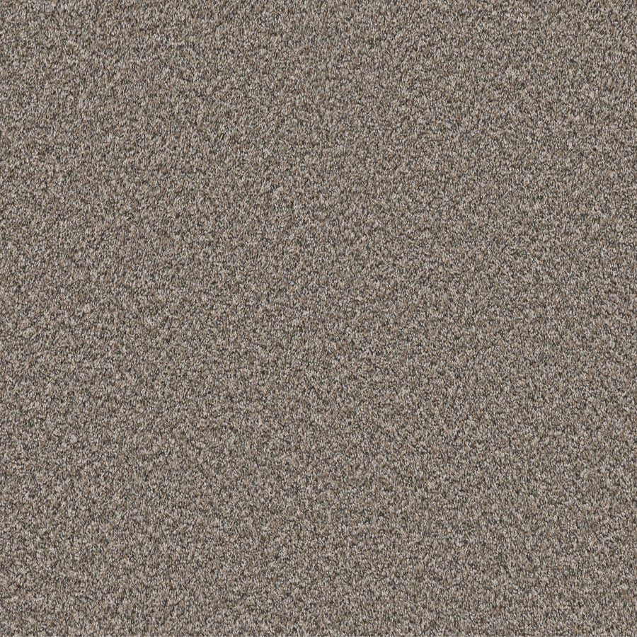 Shaw Floors - Carpet - Pet Perfect Collection - Remixed Classic - 12' - Cobble Drive