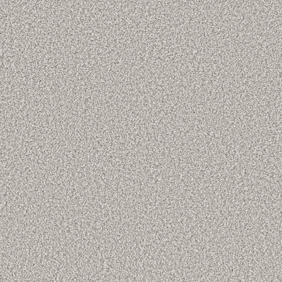 Shaw Floors - Carpet - Pet Perfect Collection - Remixed Classic - 12' - Silver Lining