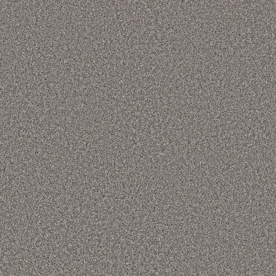 Shaw Floors - Carpet - Pet Perfect Collection - Remixed Classic - 12' - Antique Pewter