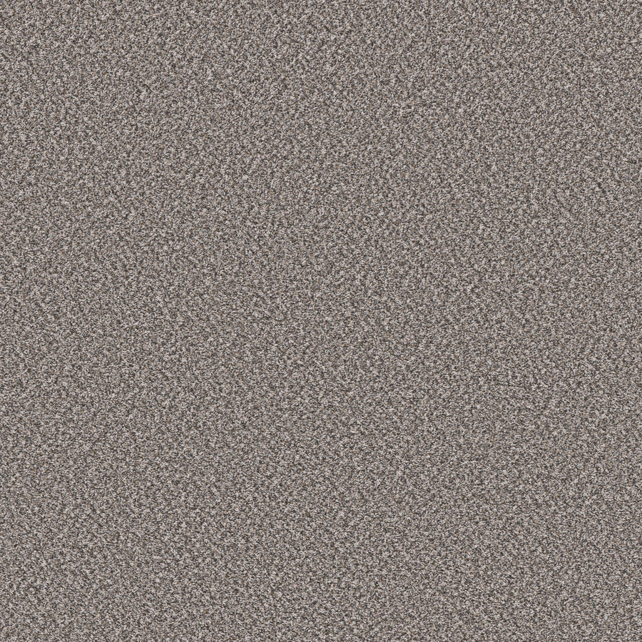 Shaw Floors - Carpet - Pet Perfect Collection - Remixed Classic - 12' - Mineral