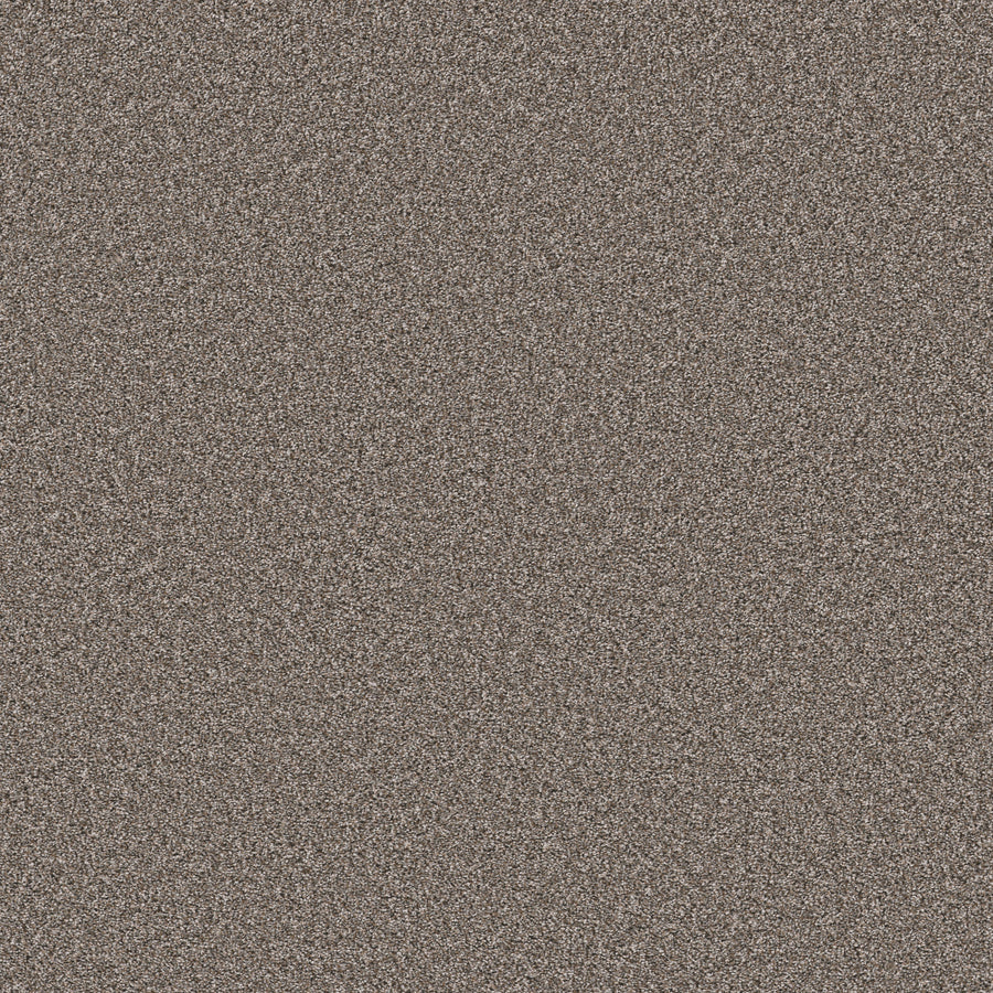 Shaw Floors - Carpet - Pet Perfect Collection - Remixed Classic - 12' - Nature Trail