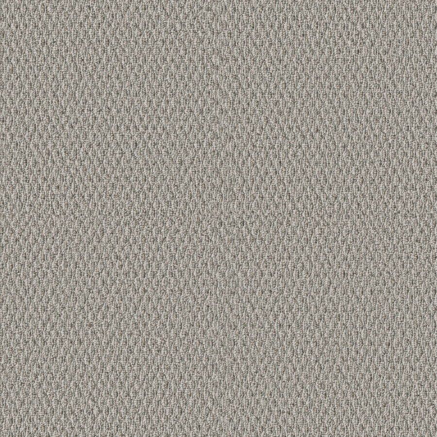 Shaw Floors - Carpet - Simply the Best Values Collection - Stonebrook - 12' - Pewter