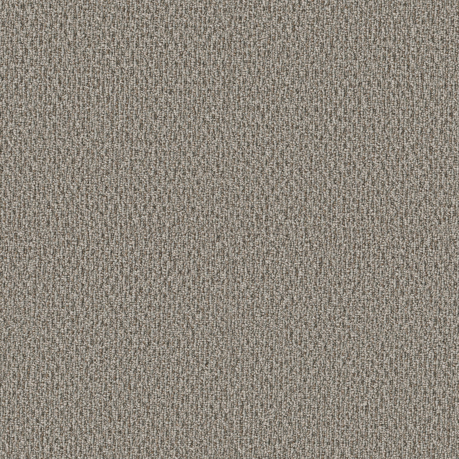 Shaw Floors - Carpet - Simply the Best Values Collection - Stonebrook - 12' - Fieldstone