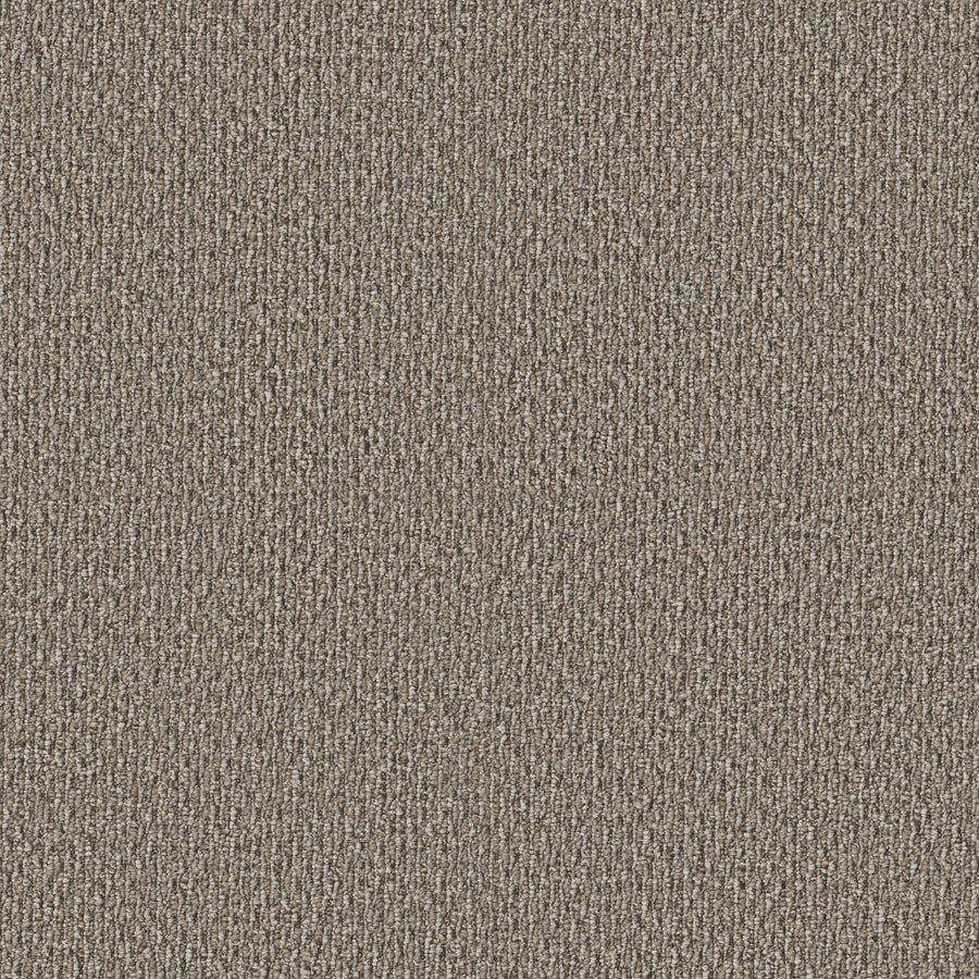 Shaw Floors - Carpet - Simply the Best Values Collection - Stonebrook - 12' - Walnut Grove