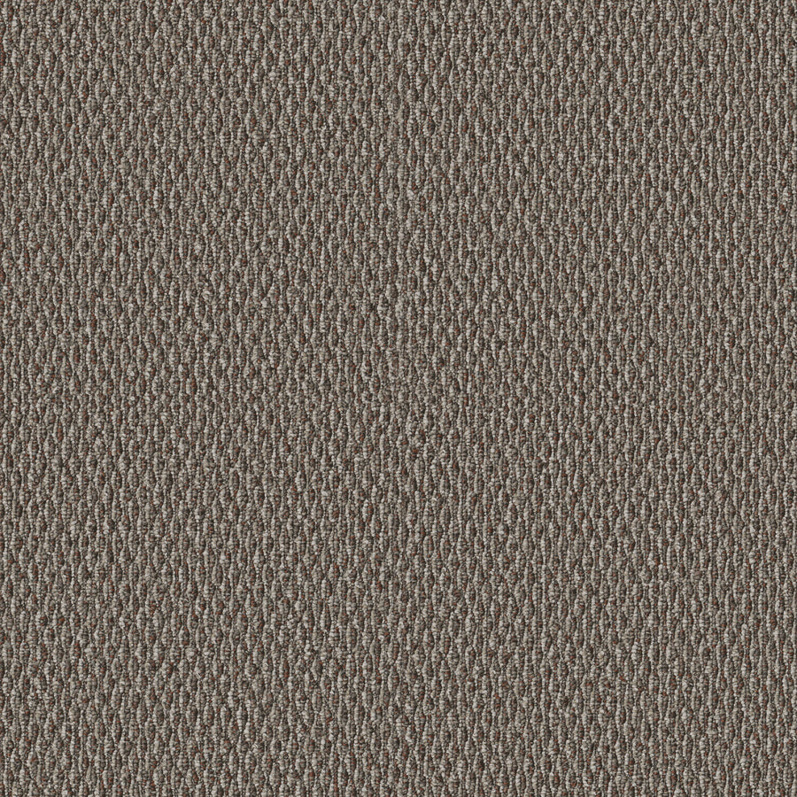 Shaw Floors - Carpet - Simply the Best Values Collection - Stonebrook - 12' - Outer Banks