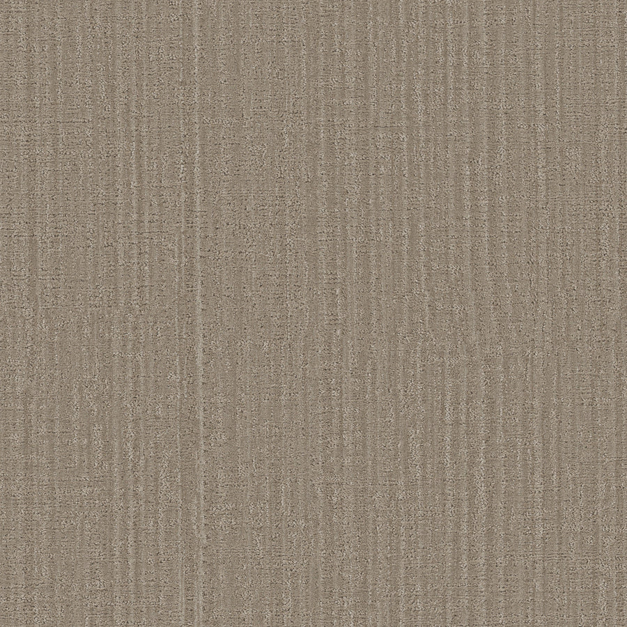Shaw Floors - Carpet - Pet Perfect Collection - Shady Stroll - 12' - Cobblestone