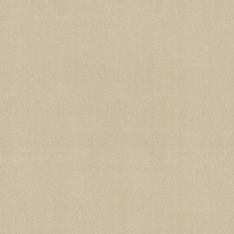 Shaw Floors - Carpet - Classics Collection - Awaken Spirit II 12' - 12' - Cottage