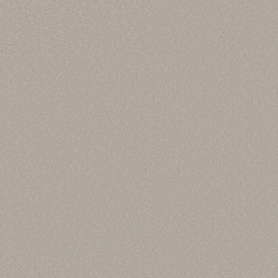 Shaw Floors - Carpet - Classics Collection - Awaken Spirit II 12' - 12' - Ice Cube