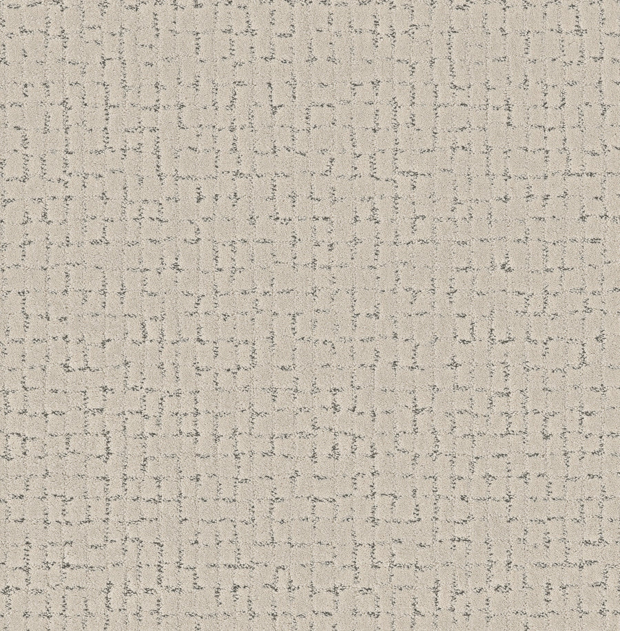Shaw Floors - Carpet - Pet Perfect + Collection - Block Party - 12' - Marble