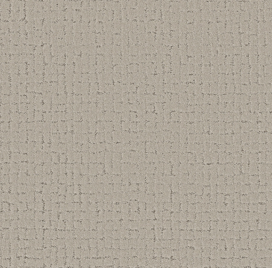 Shaw Floors - Carpet - Pet Perfect + Collection - Block Party - 12' - River Birch