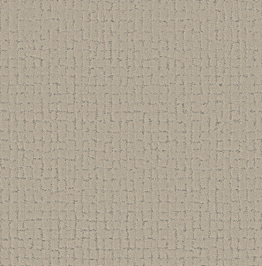 Shaw Floors - Carpet - Pet Perfect + Collection - Block Party - 12' - Warm Light