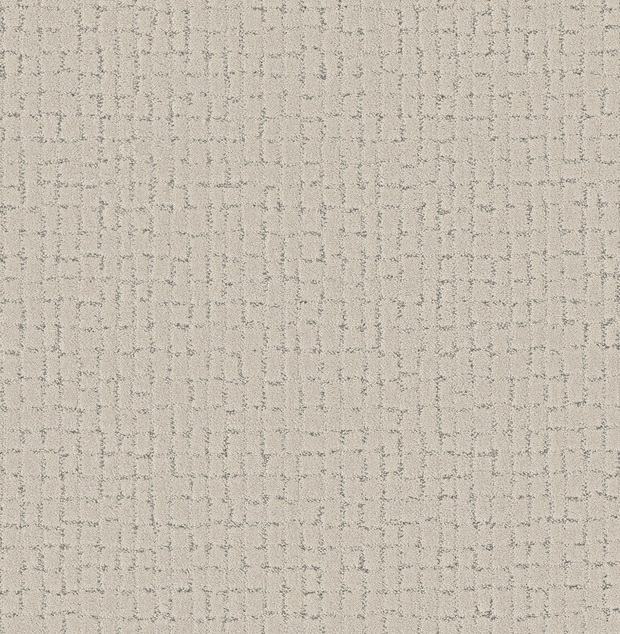 Shaw Floors - Carpet - Pet Perfect + Collection - Block Party - 12' - Snowfall