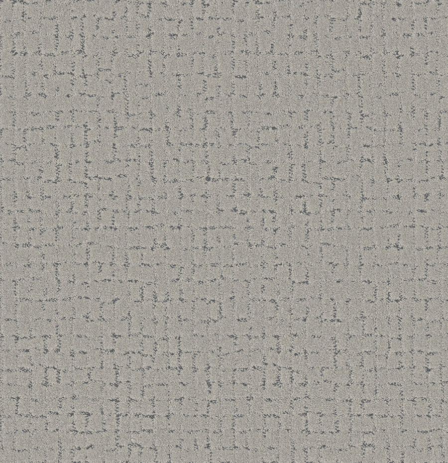 Shaw Floors - Carpet - Pet Perfect + Collection - Block Party - 12' - Flannel