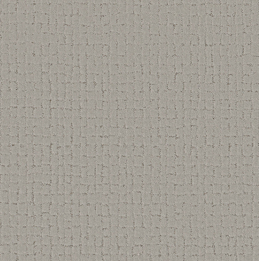 Shaw Floors - Carpet - Pet Perfect + Collection - Block Party - 12' - Gravity