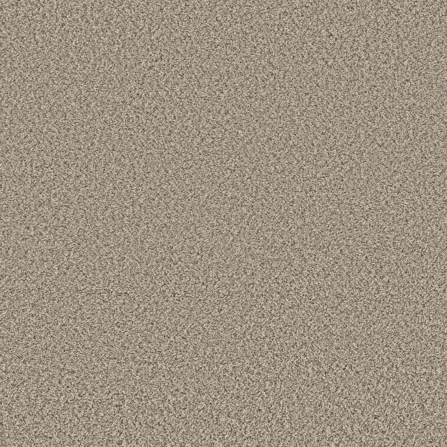 Shaw Floors - Carpet - Simply the Best Values Collection - Feelin' Alright - 12' - Flax