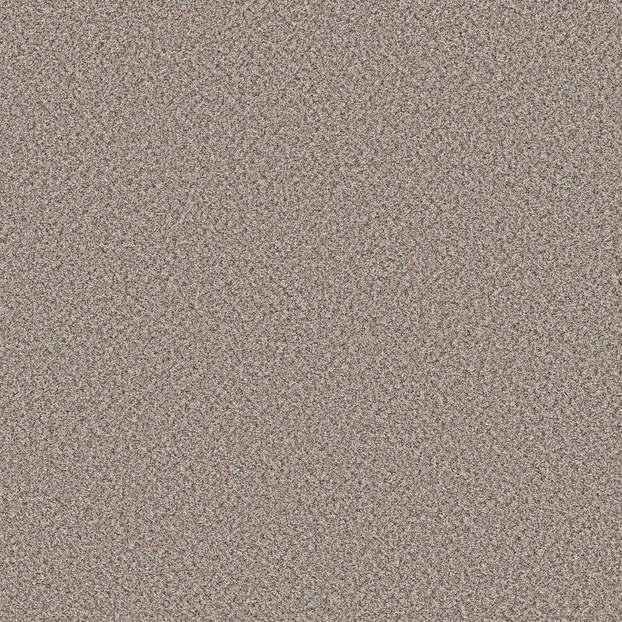 Shaw Floors - Carpet - Simply the Best Values Collection - Feelin' Alright - 12' - Stepping Stone