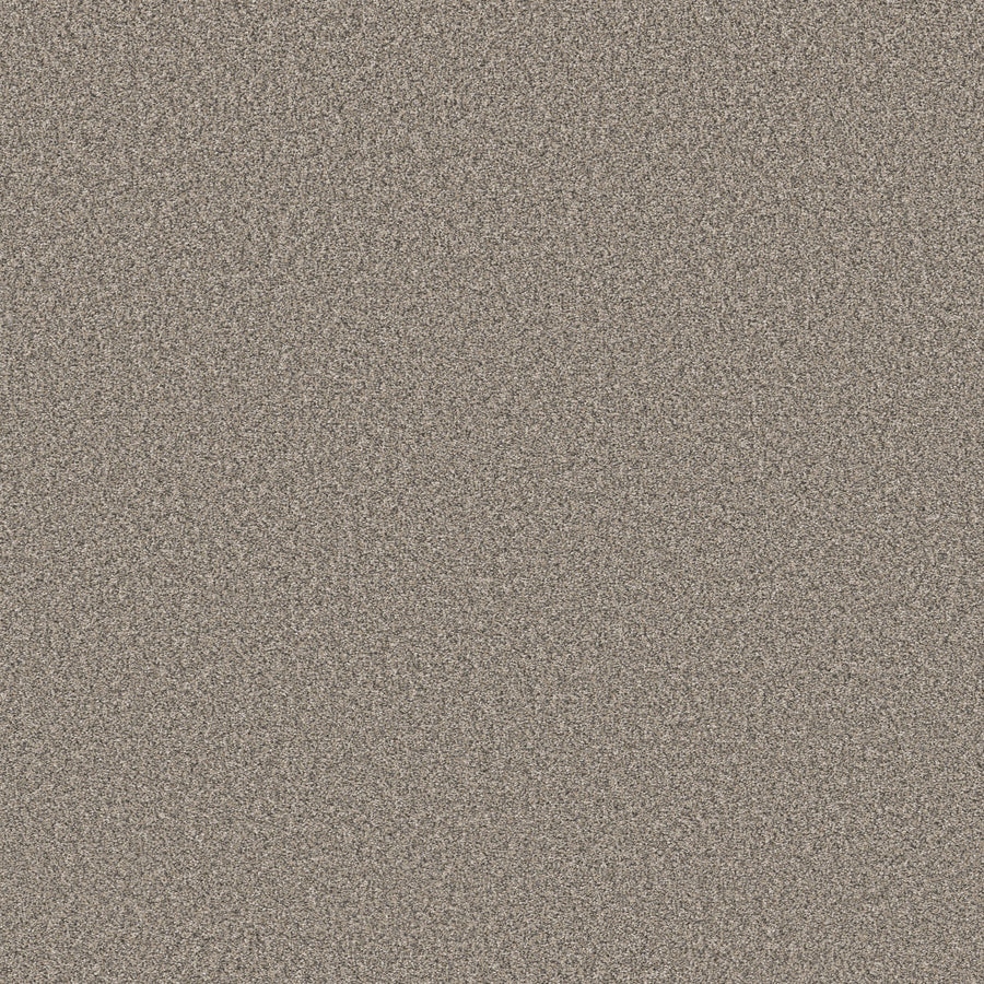 Shaw Floors - Carpet - Simply the Best Values Collection - New Attitude - 12' - Shooting Star