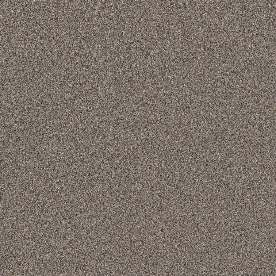 Shaw Floors - Carpet - Simply the Best Values Collection - New Attitude - 12' - Pier