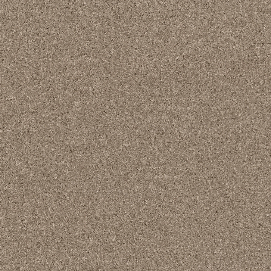 Shaw Floors - Carpet - Pet Perfect + Collection - Secret Destination - 12' - Stonecrest