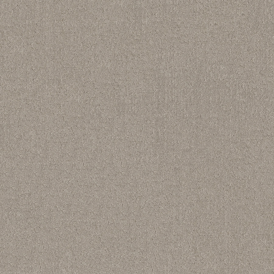 Shaw Floors - Carpet - Pet Perfect + Collection - Secret Destination - 12' - Marble