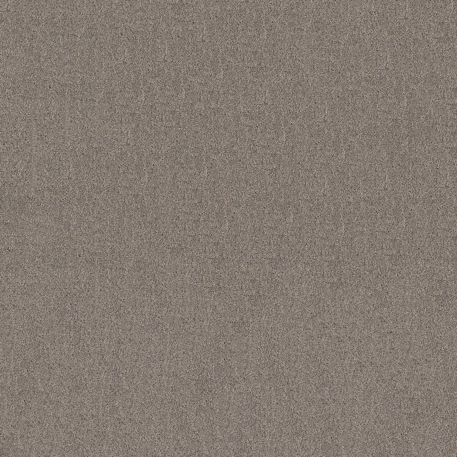 Shaw Floors - Carpet - Pet Perfect + Collection - Secret Destination - 12' - Shadows