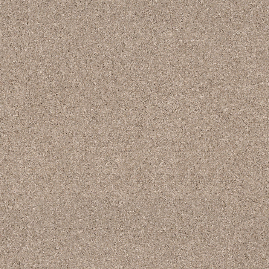Shaw Floors - Carpet - Pet Perfect + Collection - Secret Destination - 12' - Baja