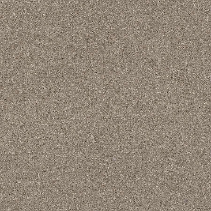 Shaw Floors - Carpet - Pet Perfect + Collection - Secret Destination - 12' - Mocha