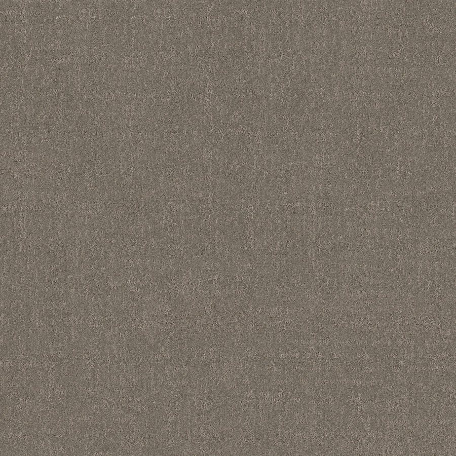 Shaw Floors - Carpet - Pet Perfect + Collection - Secret Destination - 12' - Hideaway