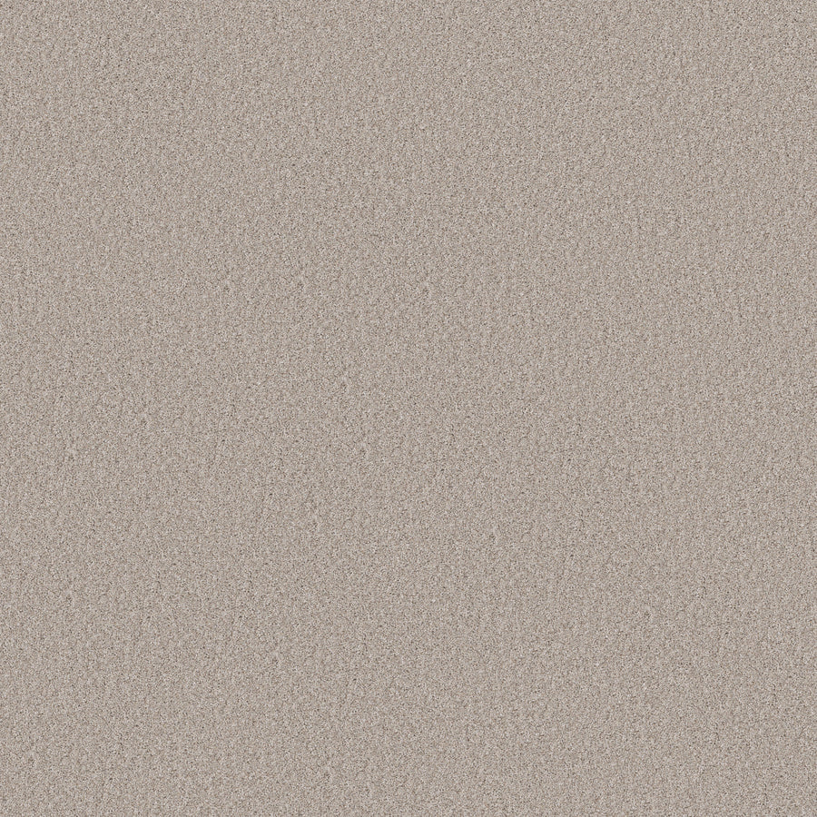 Shaw Floors - Carpet - Simply the Best Values Collection - Wonderland II - 12' - Silence