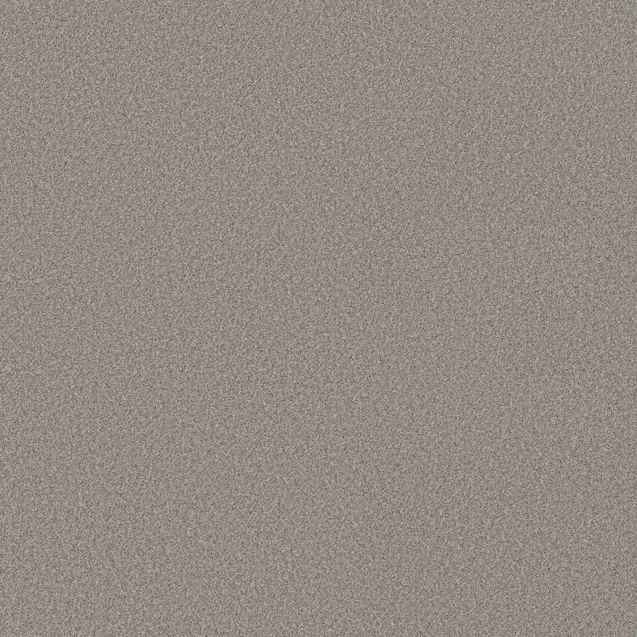 Shaw Floors - Carpet - Simply the Best Values Collection - Wonderland II - 12' - Greige