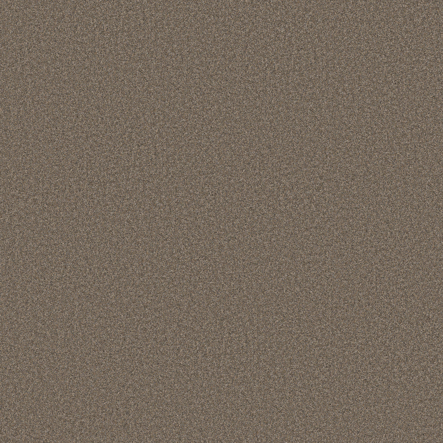 Shaw Floors - Carpet - Simply the Best Values Collection - Wonderland II - 12' - Smoked Tan