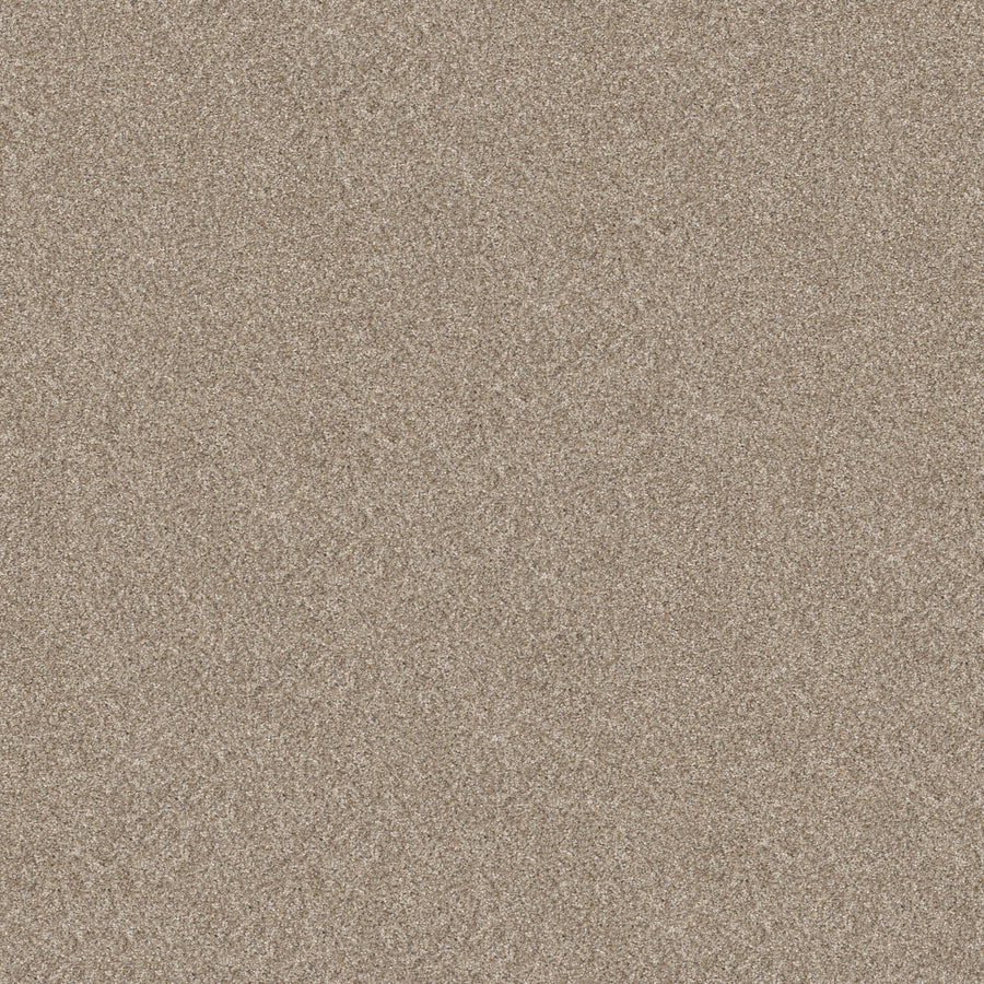 Shaw Floors - Carpet - Pet Perfect + Collection - Refined Beauty - 12' - Soft Sand