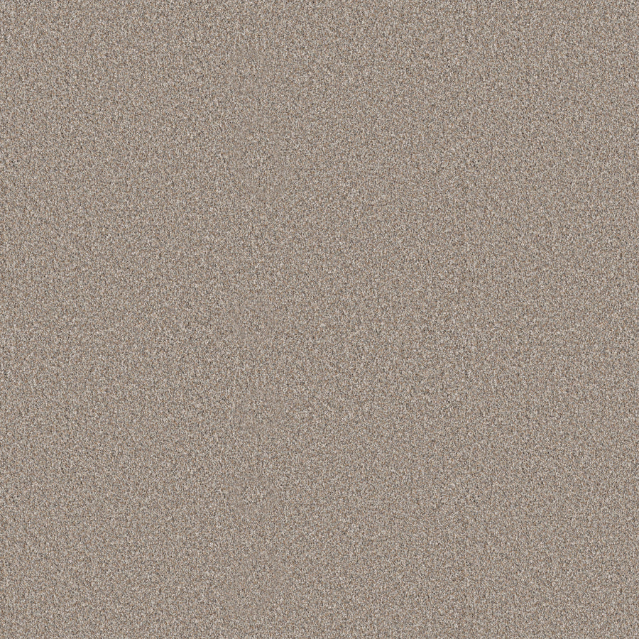 Shaw Floors - Carpet - Pet Perfect + Collection - Refined Beauty - 12' - Dawn Beige