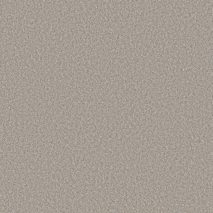 Shaw Floors - Carpet - Pet Perfect+ Collection - Refined Beauty - 12' - Silver Mist