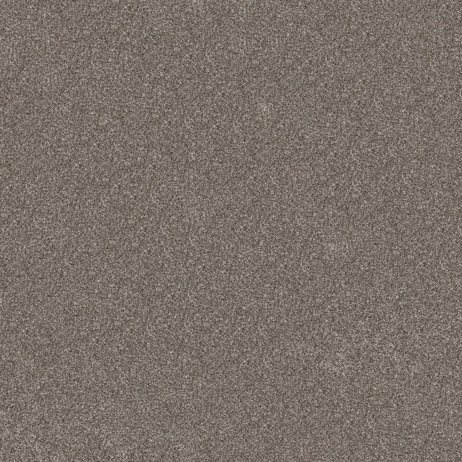 Shaw Floors - Carpet - Pet Perfect+ Collection - Refined Beauty - 12' - Coffee
