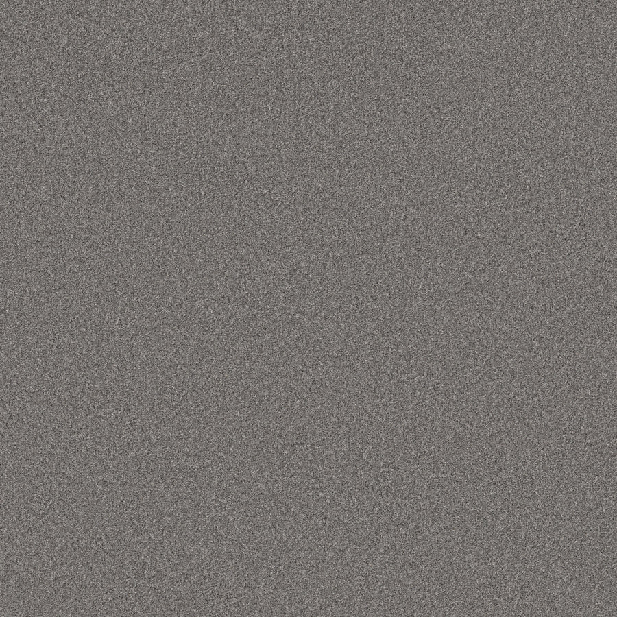 Shaw Floors - Carpet - Simply the Best Values Collection - Wonderland I - 12' - Cool Wind