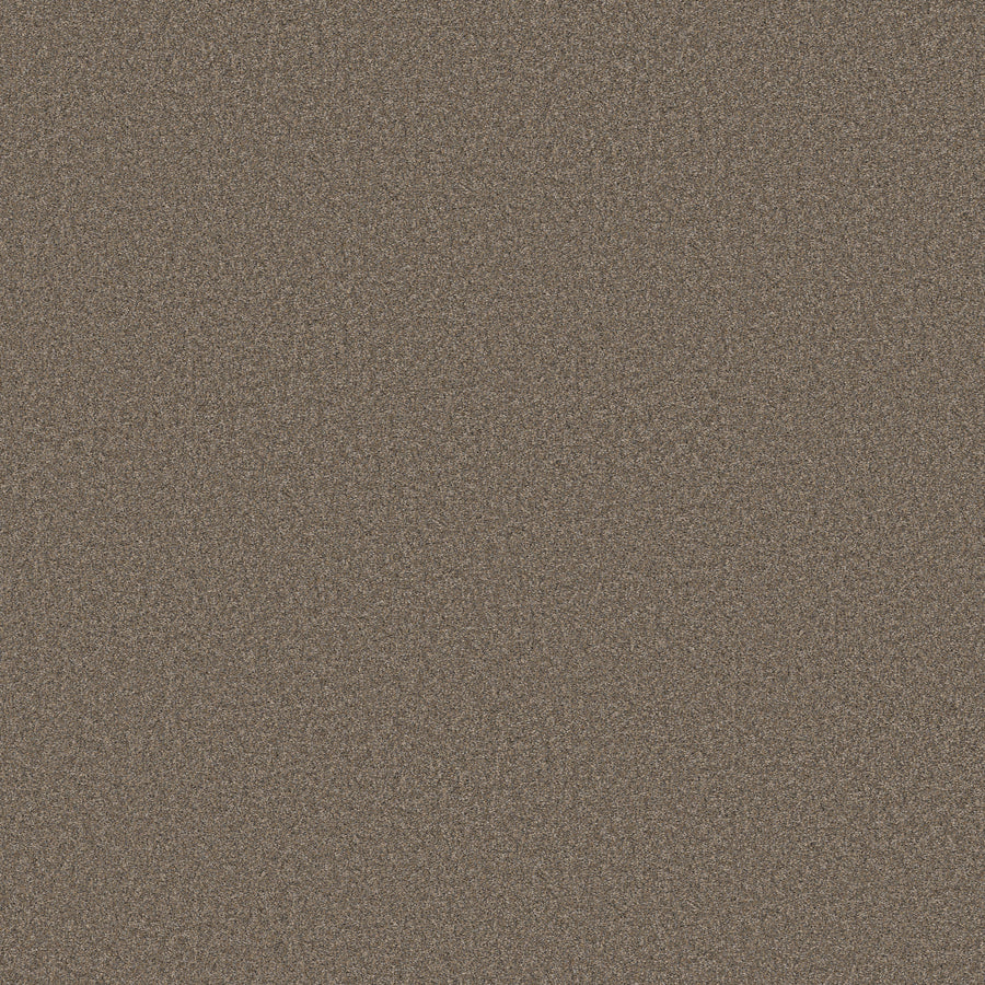 Shaw Floors - Carpet - Simply the Best Values Collection - Wonderland I - 12' - Smoked Tan