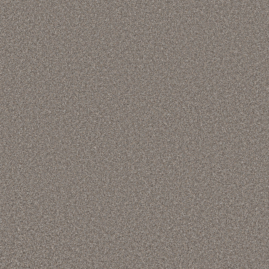 Shaw Floors - Carpet - Wonderland III 12' - 12' - Pier