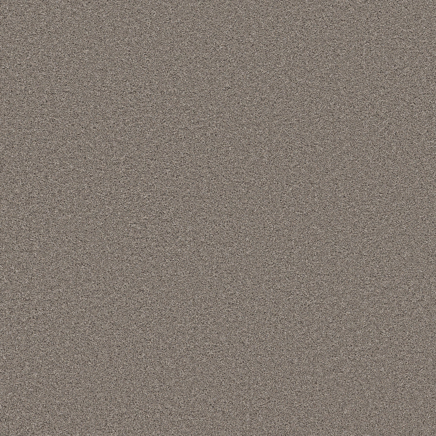 Shaw Floors - Carpet - Wonderland III 12' - 12' - Creek Bed