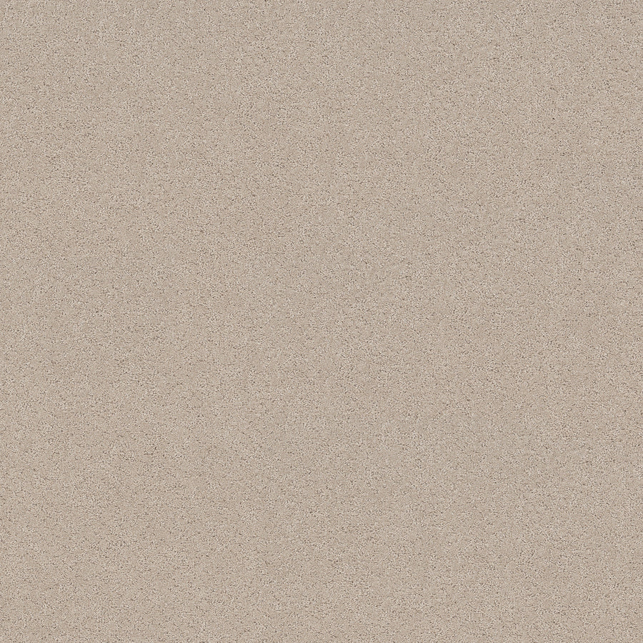 Shaw Floors - Carpet - Pet Perfect+ Collection - Secret Adventure - 12' - Cafe Latte
