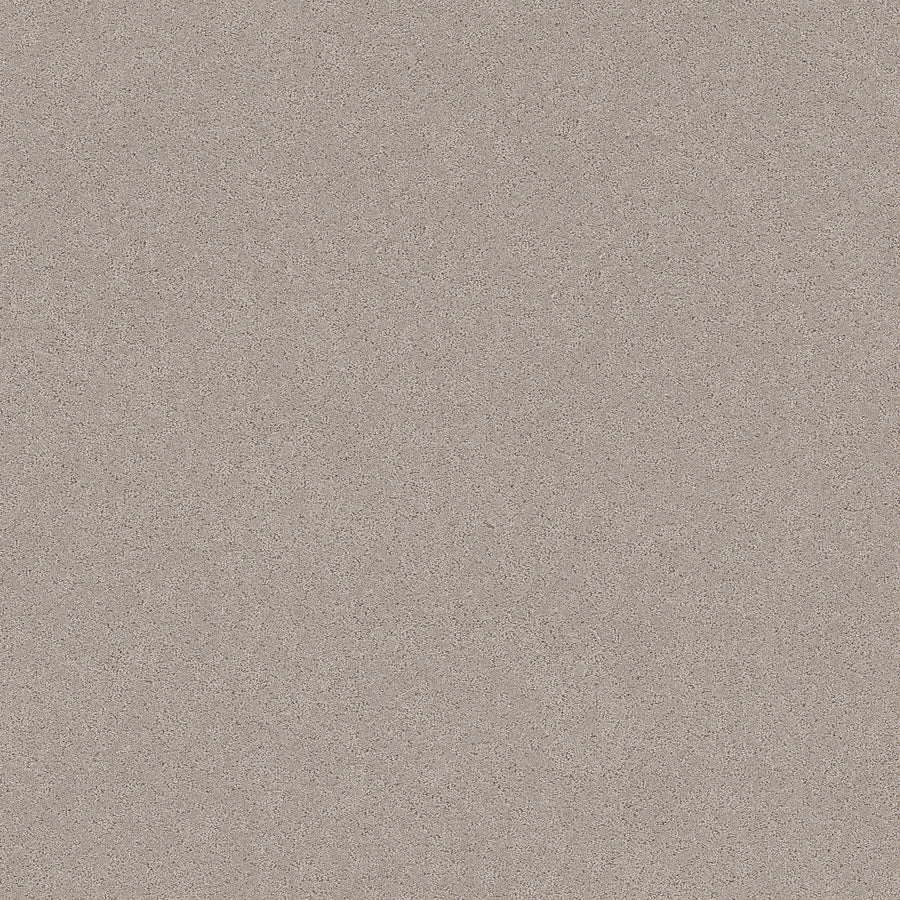 Shaw Floors - Carpet - Pet Perfect+ Collection - Secret Adventure - 12' - Chic Taupe