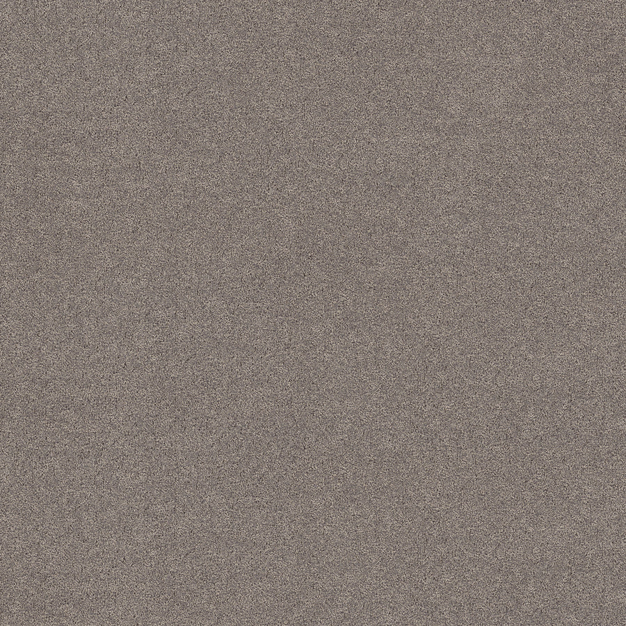 Shaw Floors - Carpet - Pet Perfect+ Collection - Secret Adventure - 12' - Shadows