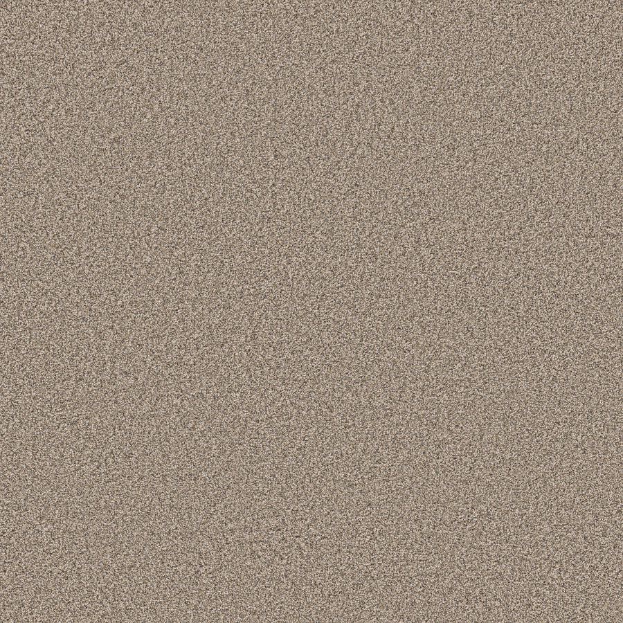 Shaw Floors - Carpet - Pet Perfect Collection - Grand Influence I - 12' - Stucco