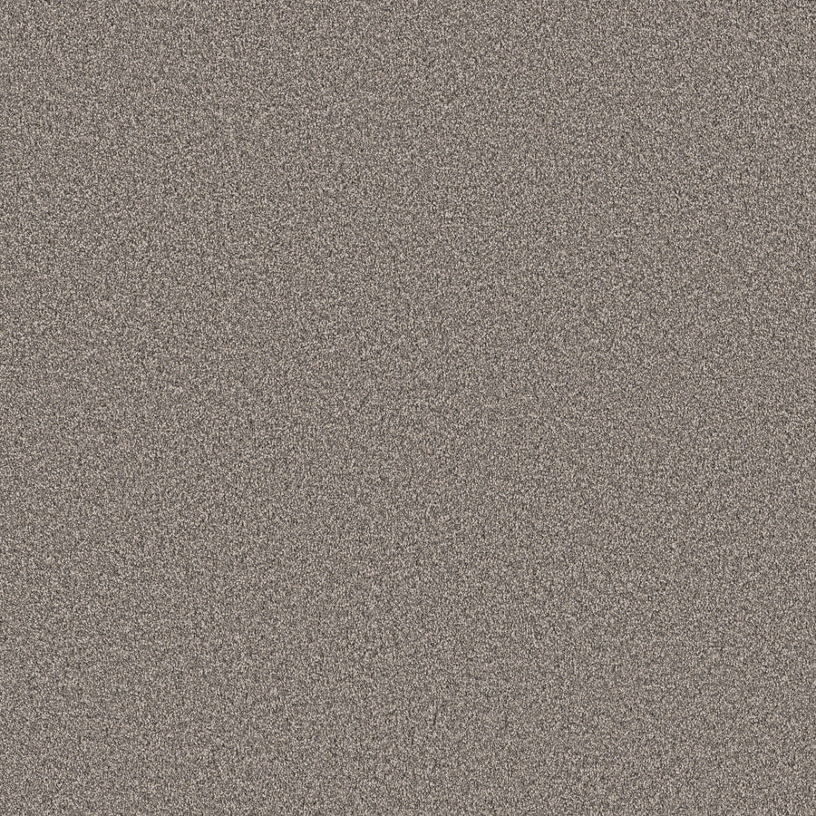 Shaw Floors - Carpet - Pet Perfect Collection - Grand Influence III - 12' - Earth Tone