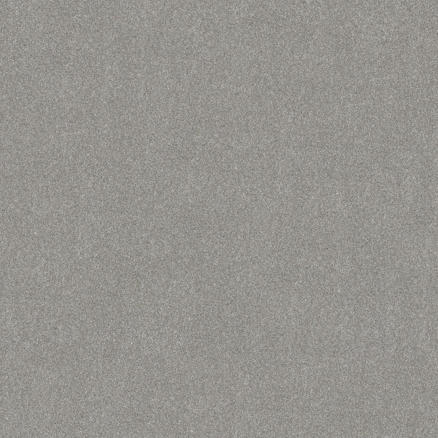 Shaw Floors - Carpet - Simply the Best Values Collection - Good Move I - 12' - Fog