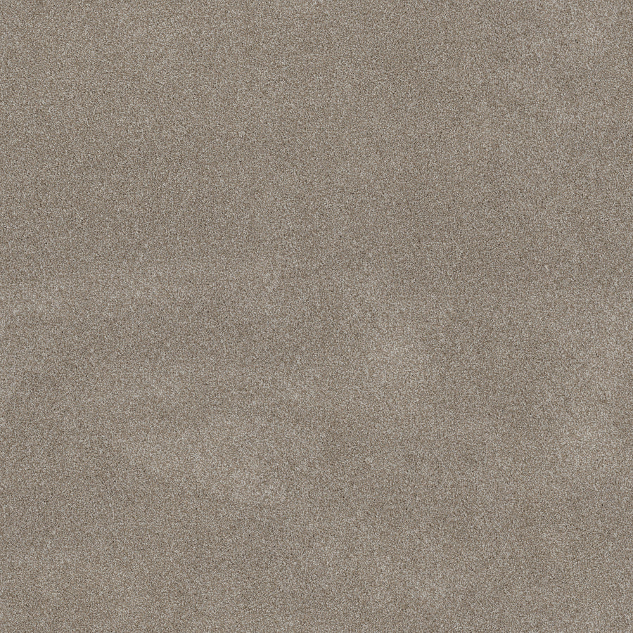 Shaw Floors - Carpet - Simply the Best Values Collection - Good Move II - 12' - Winter Dunes