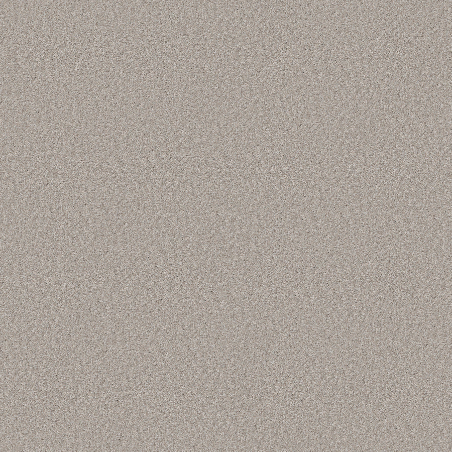 Shaw Floors - Carpet - Simply the Best Values Collection - Good Move III - 12' - Desert Light