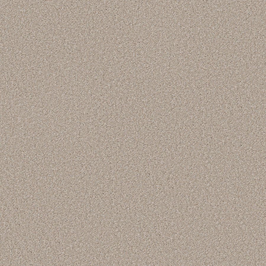 Shaw Floors - Carpet - Simply the Best Values Collection - Good Move III - 12' - Sandy Shore