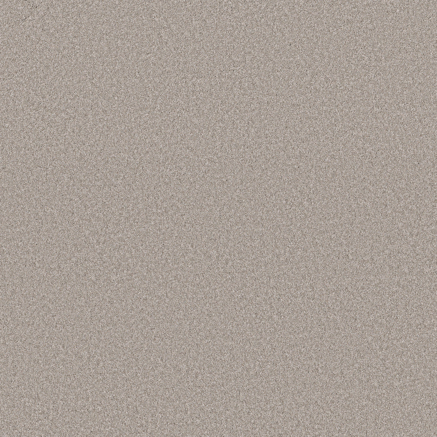 Shaw Floors - Carpet - Simply the Best Values Collection - Imaginable I - 12' - Great Greige